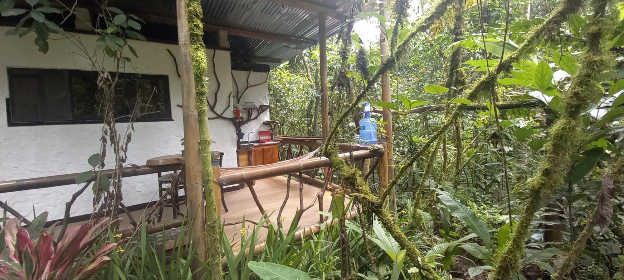 Cantalarana Lodge Mindo Chambre photo